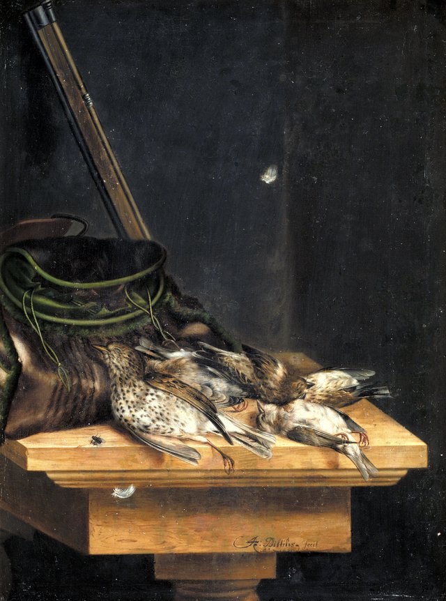Døde fugle by Jacob Biltius