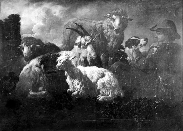 Kvægstykke by Philipp Peter Roos