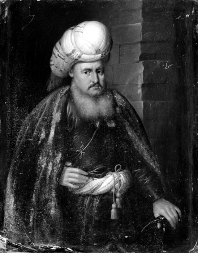 Tyrk by Domenicus van Tol