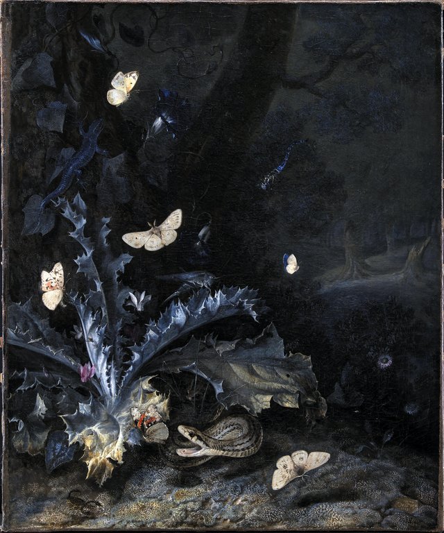 Stilleben med tidsel og slange by Otto Marseus van Schrieck