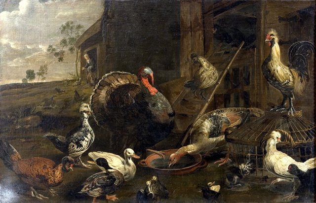Høns, ænder og en kalkunsk hane by Adriaen van Utrecht