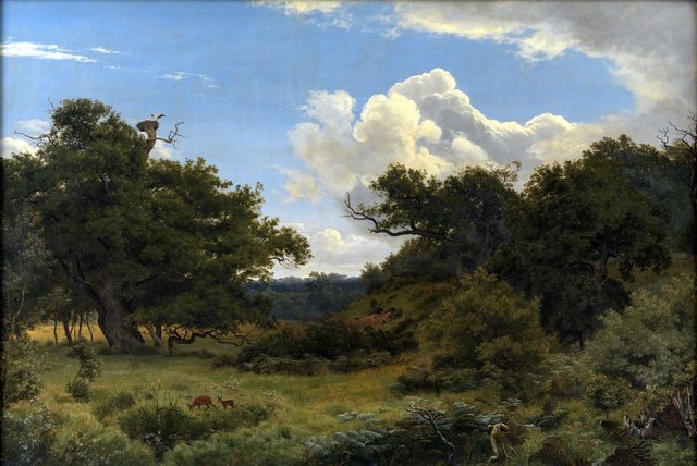 Egetræer i Nordskoven ved Jægerspris by P. C. Skovgaard