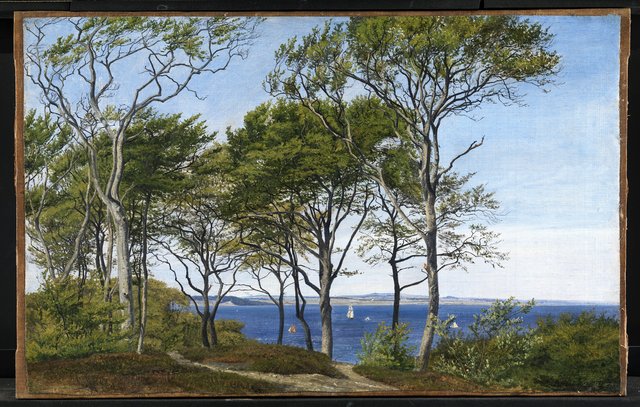 Udsigt mellem bøgestammer over en fjord by P. C. Skovgaard