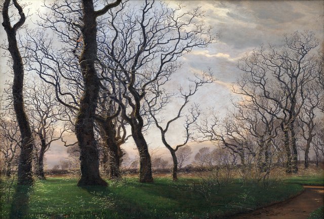 I udkanten af en egeskov en tidlig forårsmorgen by Janus la Cour