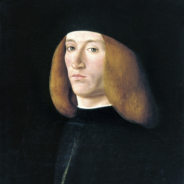 Portrait of a Young Man by Andrea Solari