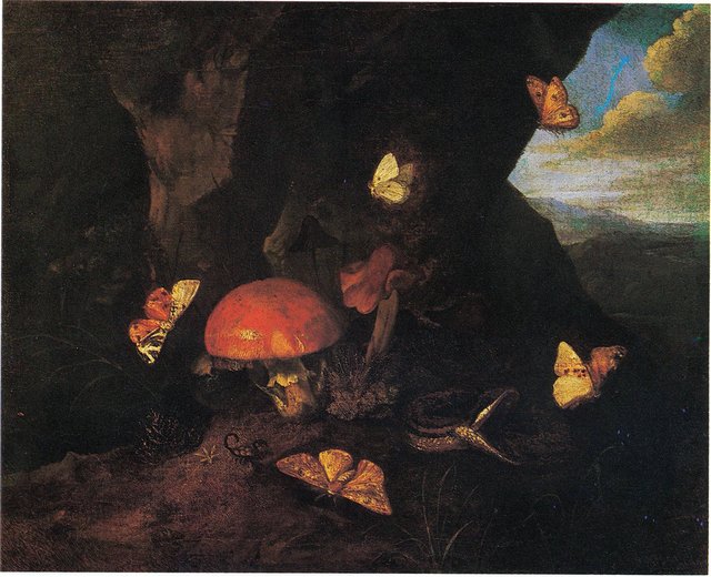 Forest floor still life with mushrooms, a snake and butterflies by Otto Marseus van Schrieck