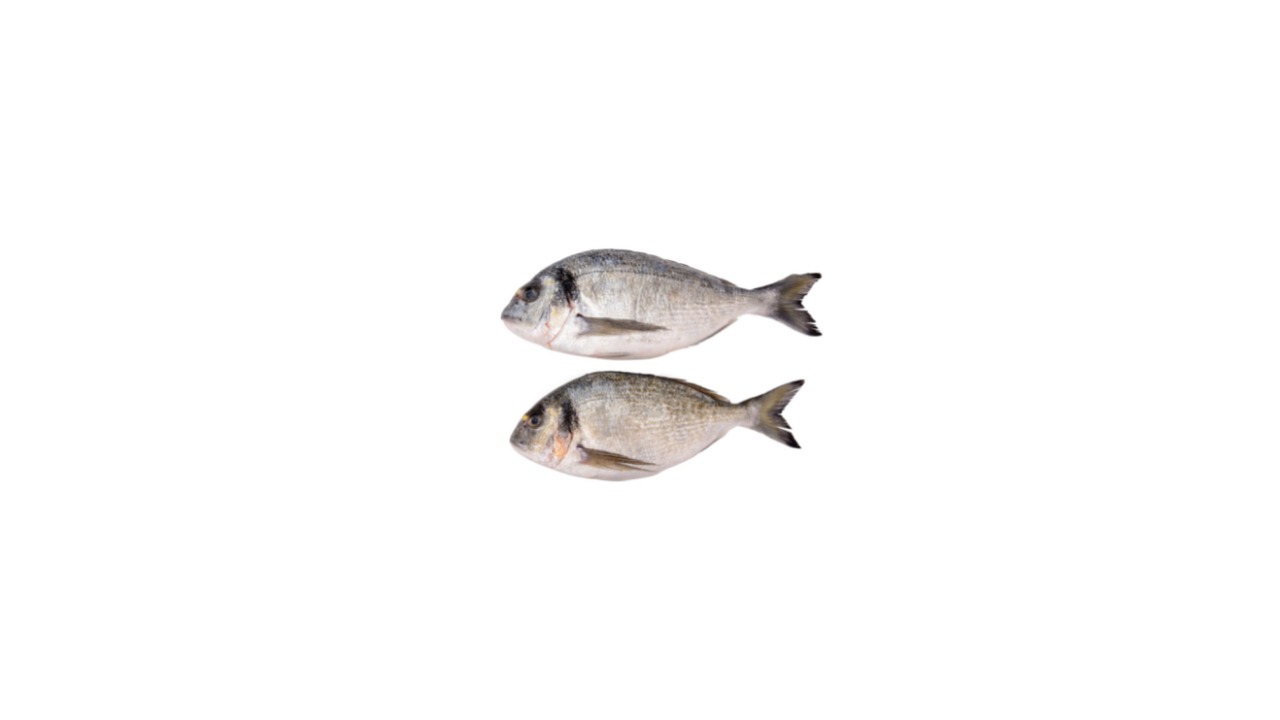 garmin gps fishfinder combo