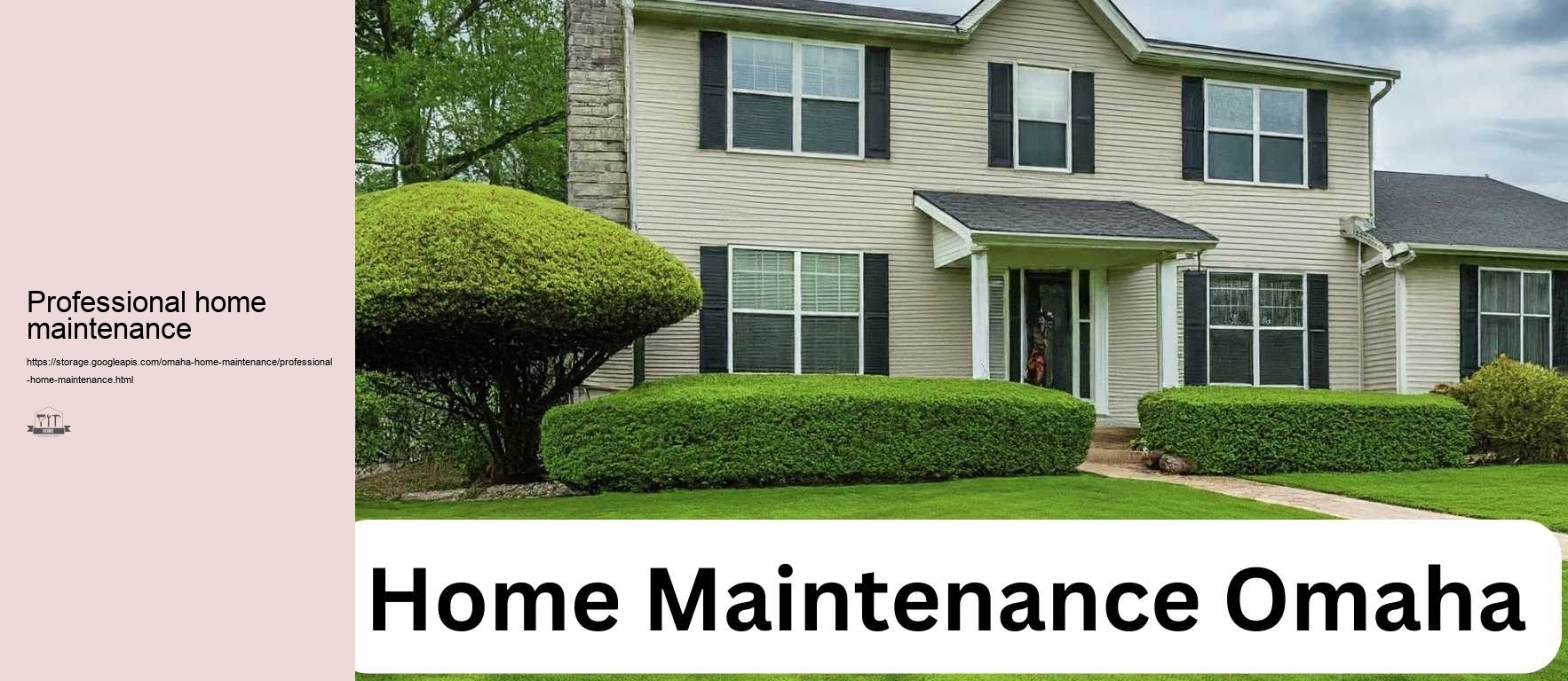 Professional home maintenance