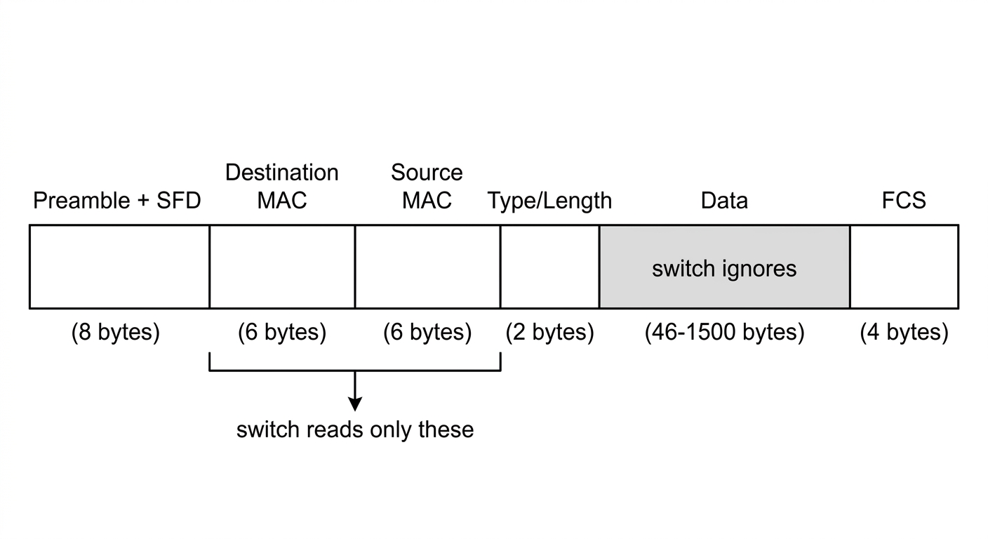 Cấu trúc Ethernet frame: Preamble+SFD 8 byte, Destination MAC 6 byte, Source MAC 6 byte, Type/Length 2 byte, Data 46-1500 byte, FCS 4 byte. Switch chỉ đọc 2 trường địa chỉ MAC, bỏ qua phần Data.