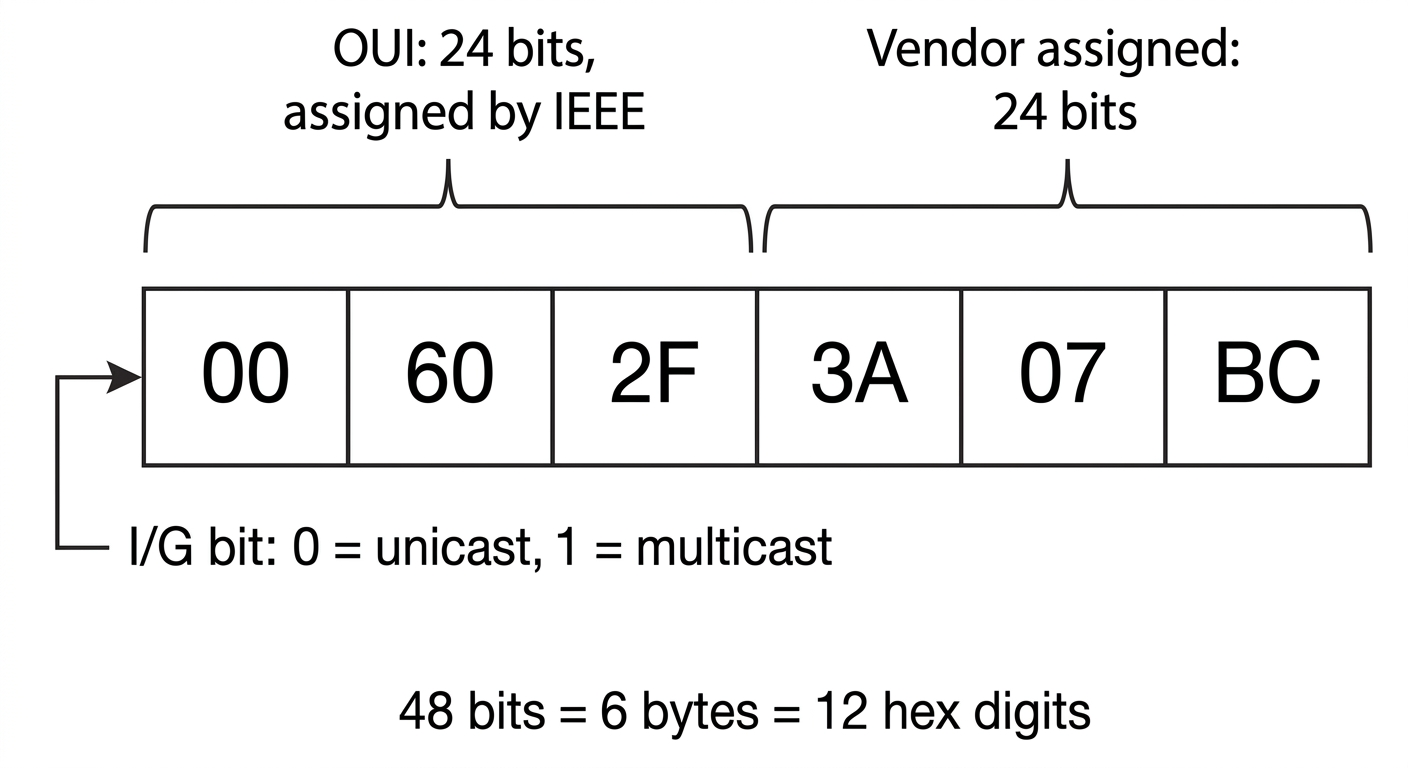 MAC address 48 bit chia hai nửa: 24 bit đầu (3 byte) là OUI do IEEE cấp cho nhà sản xuất, 24 bit sau do vendor tự gán. Bit thấp nhất của byte đầu là I/G bit phân biệt unicast với multicast.