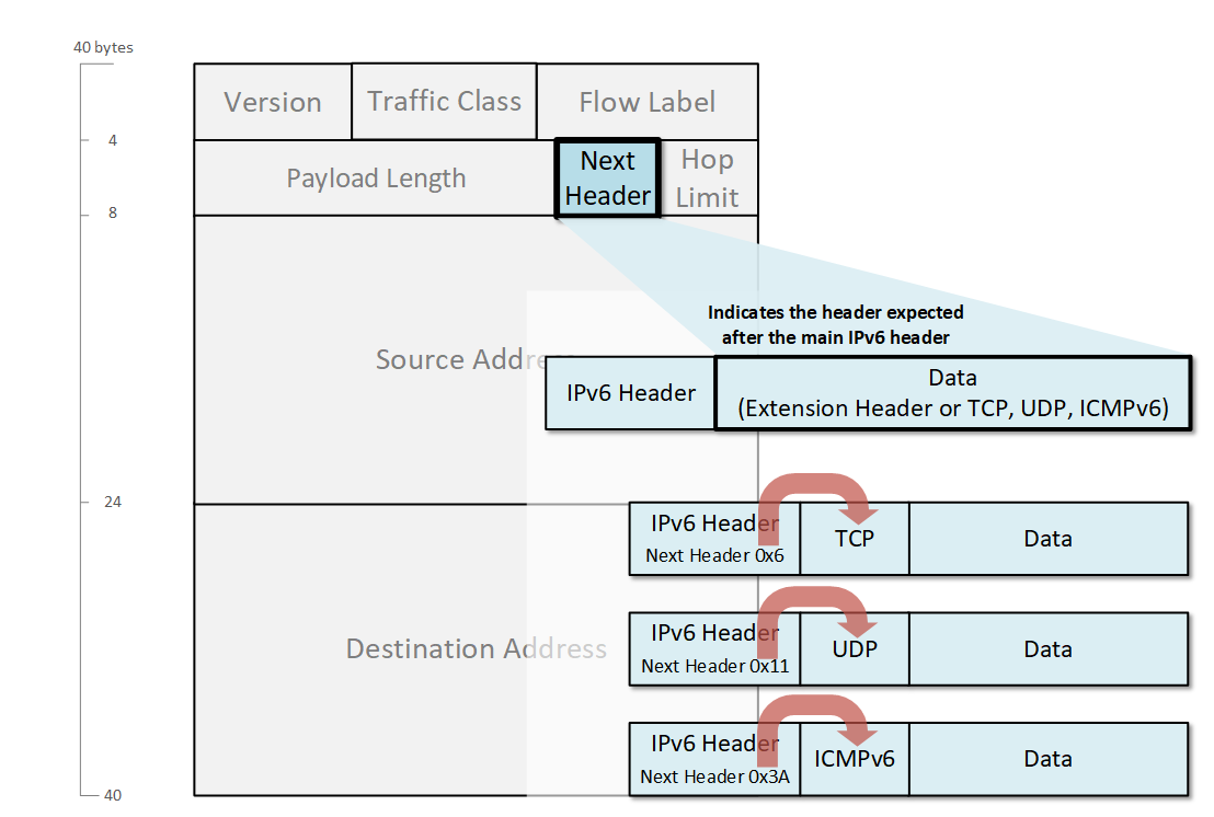 Trường Tiêu đề tiếp theo IPv6