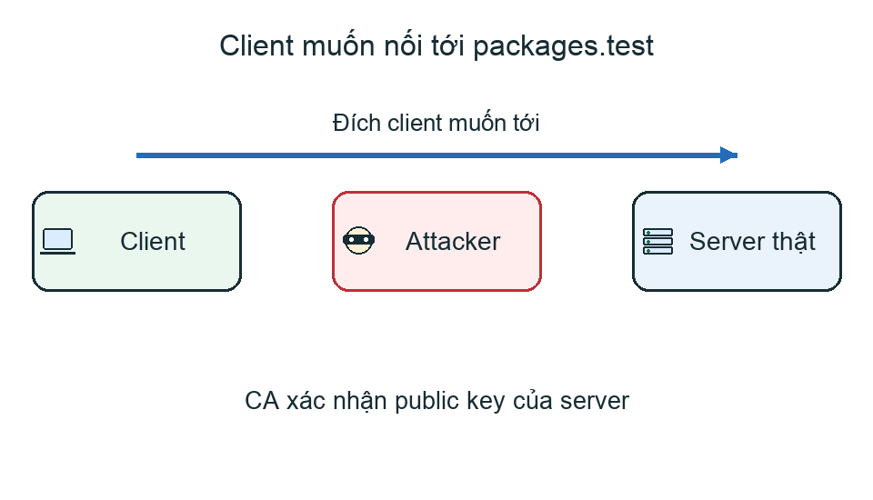 Kết nối tới server giả và hai phiên TLS của một cuộc MITM
