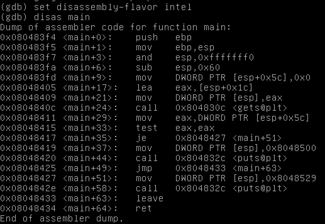 GDB disassembly output for main function