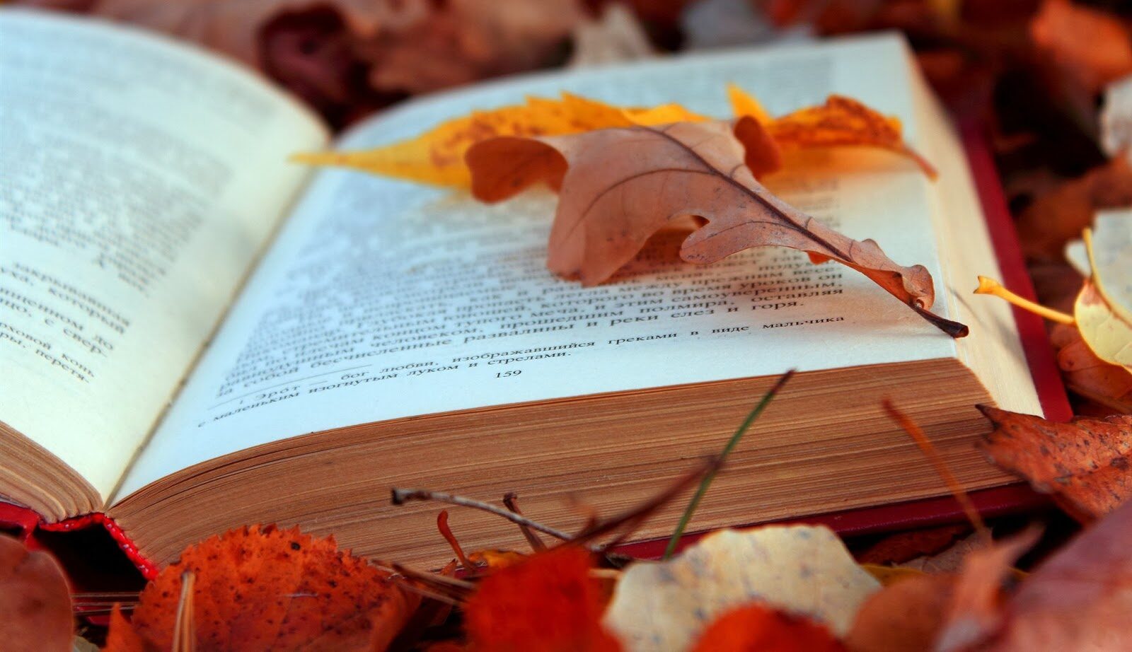 Literatura | 4 livros para ler antes do outono acabar