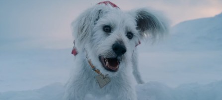 Superman ganha prévia de quatro minutos com Krypto em ação; assista! -  Jovem Nerd