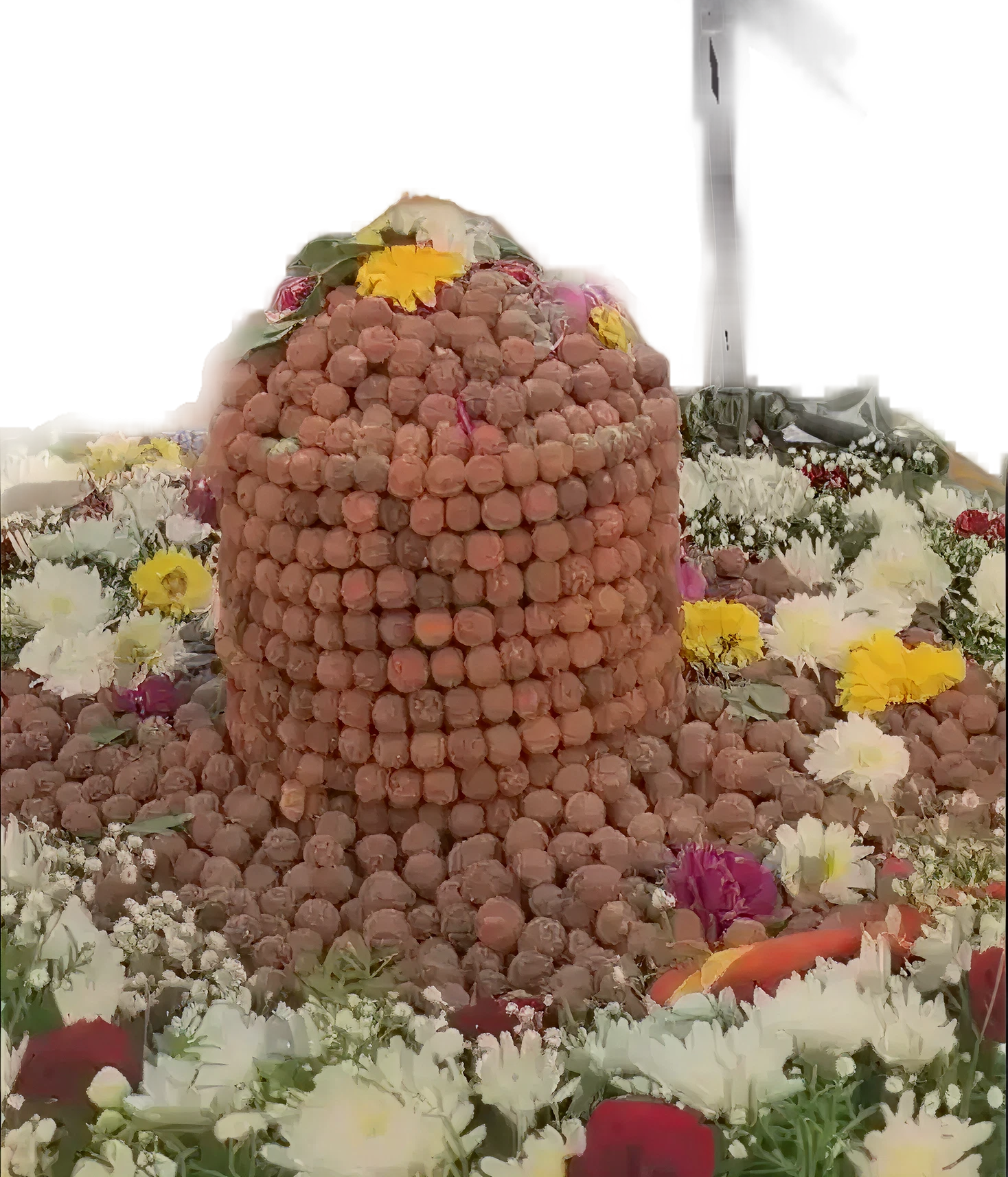 Rudraksha