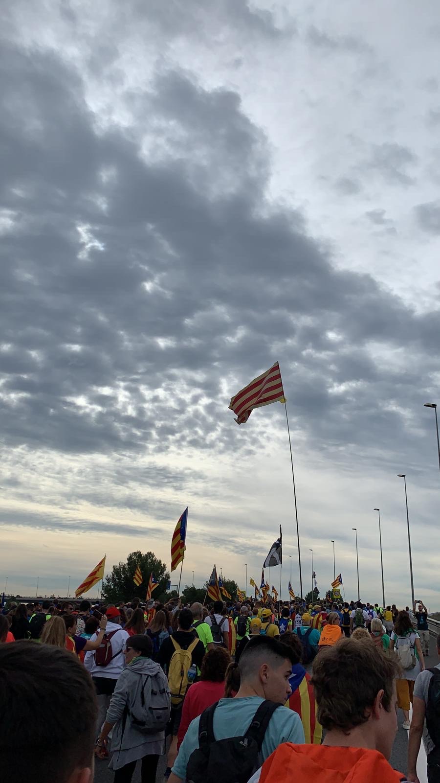 RESUM EN CATALA