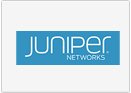 juniper