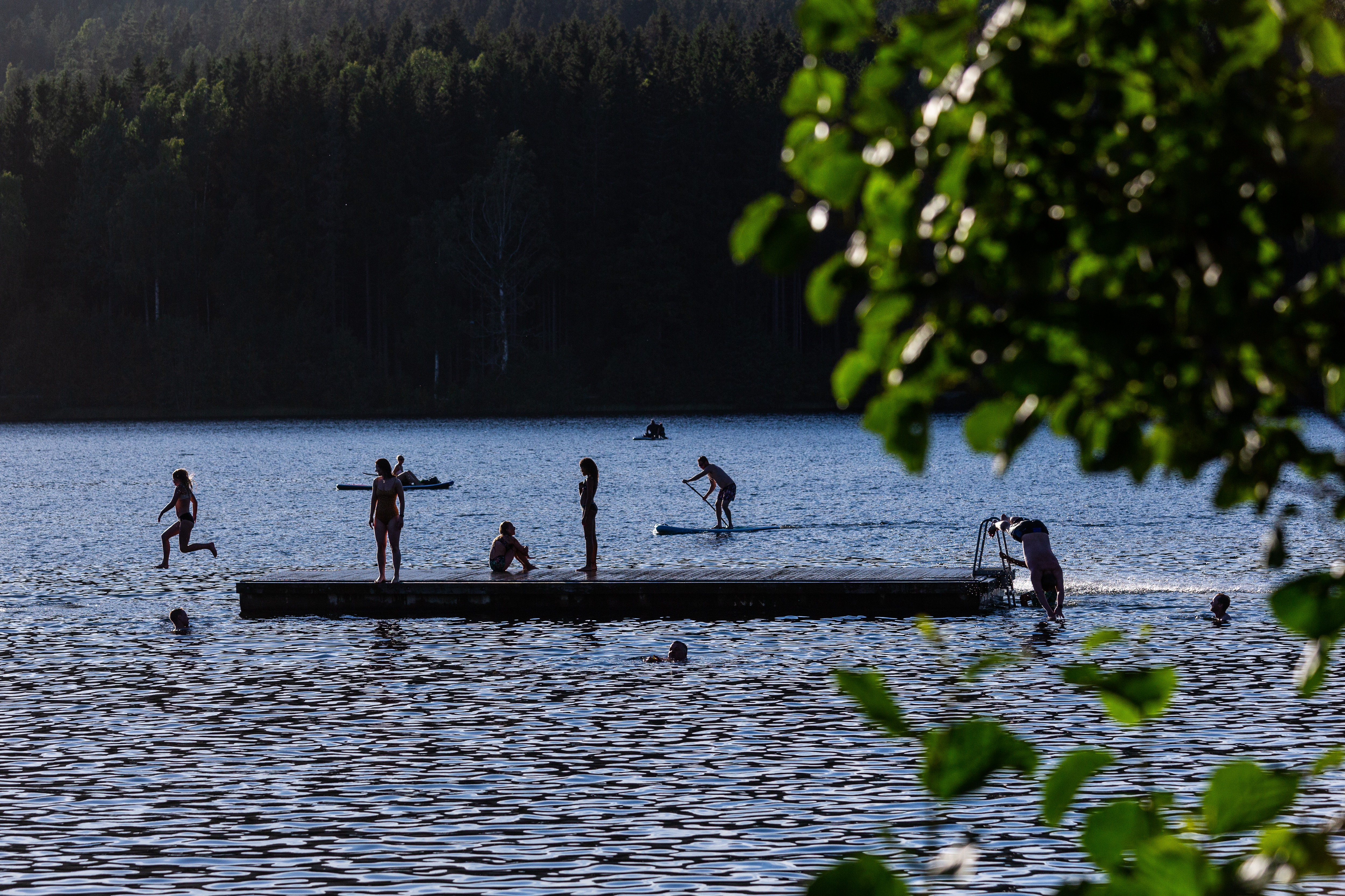 Sognsvann
