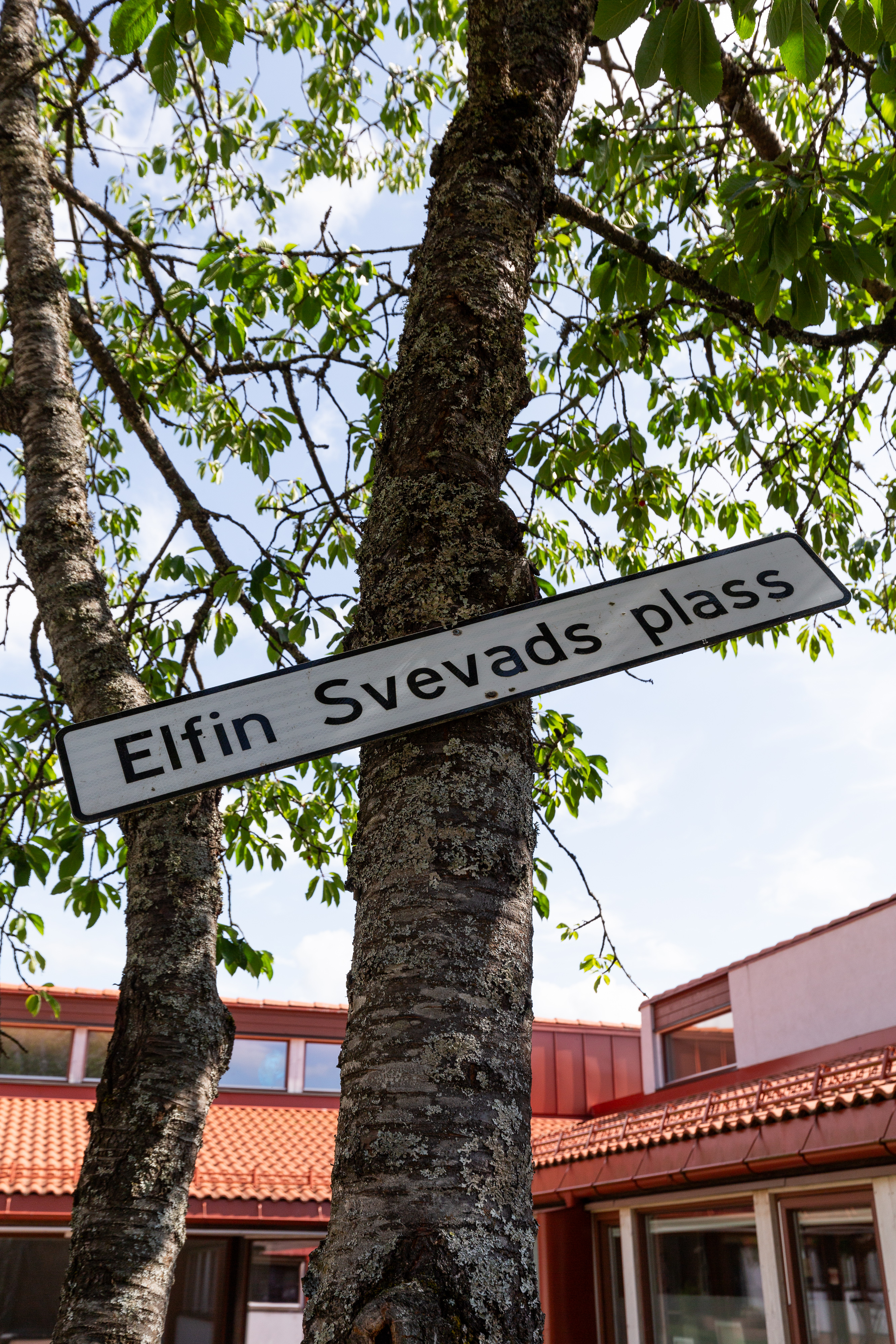 Ammerudklubben