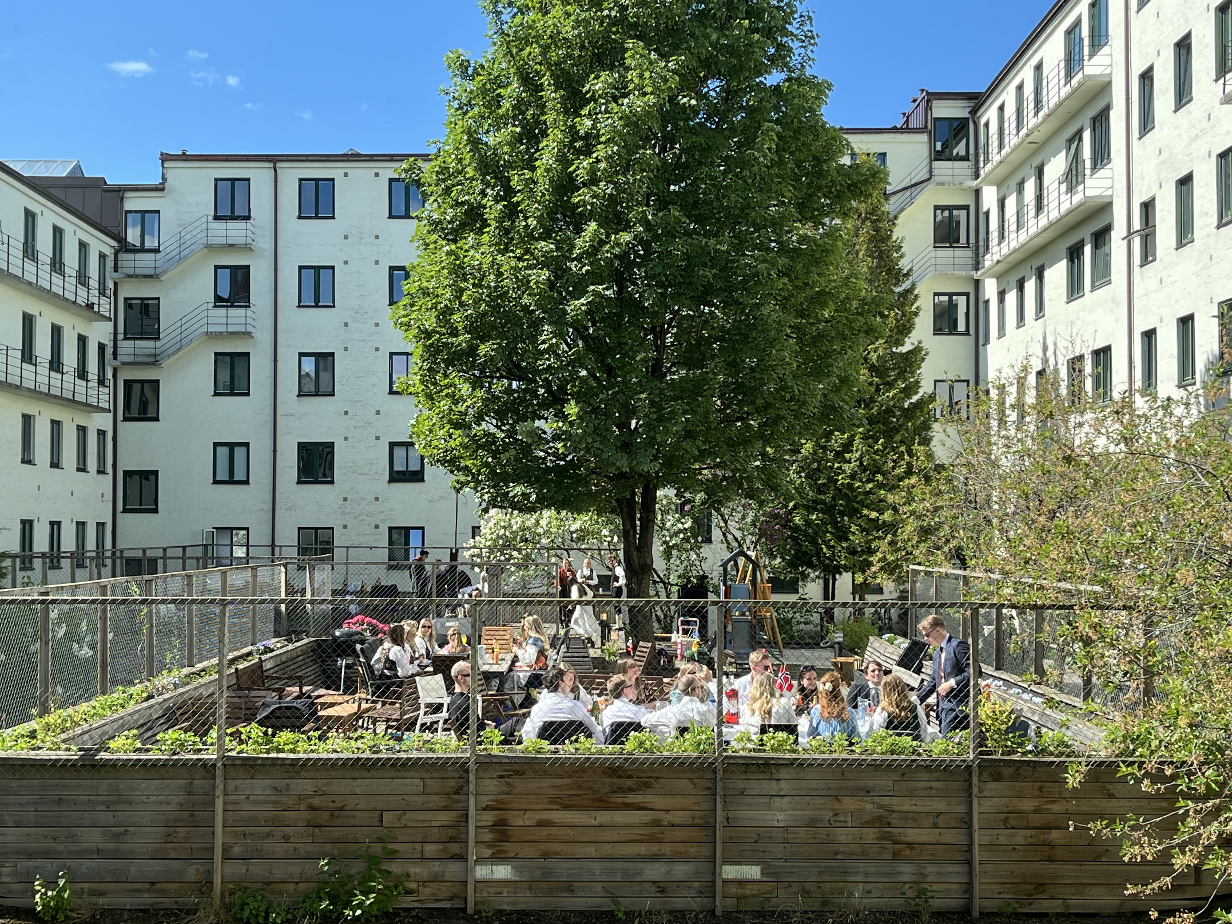 backgård 17.mai