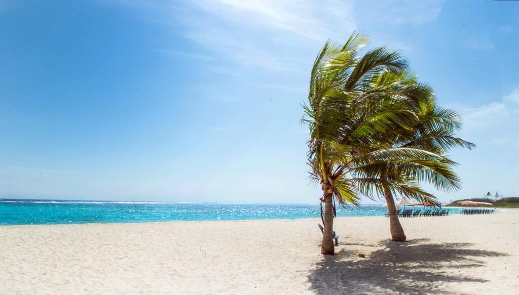 Plage Tropicale Turquoise Palmier
