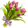 Site Vitrine Fleuriste Bouquet Roses
