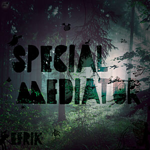 Efrik - Special Mediator