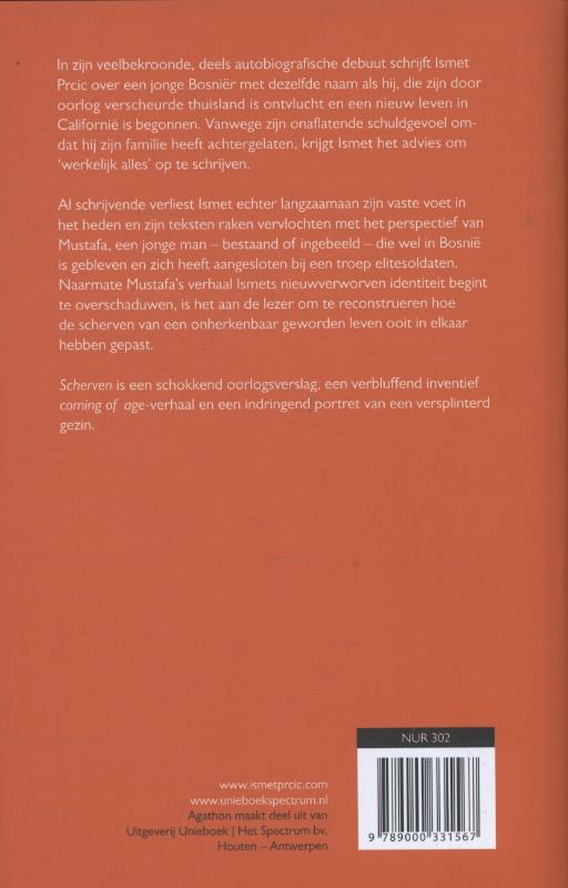Achterkant van Scherven