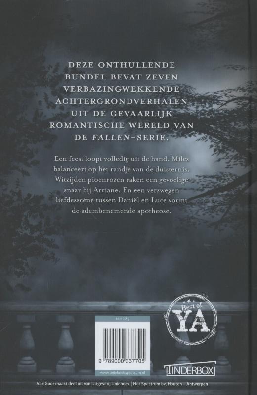 Achterkant van Engelen in het donker