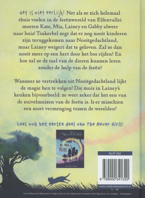 Achterkant van De geheime doorgang