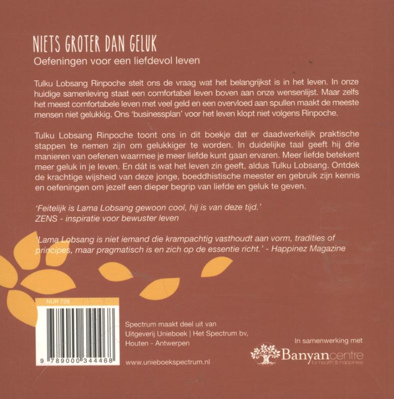 Achterkant van Niets groter dan geluk