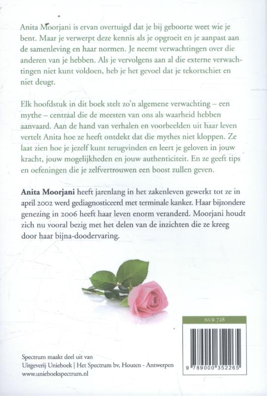 Achterkant van Wat als dit de hemel is?