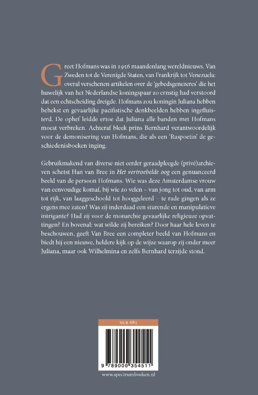 Achterkant van Het vertroebelde oog