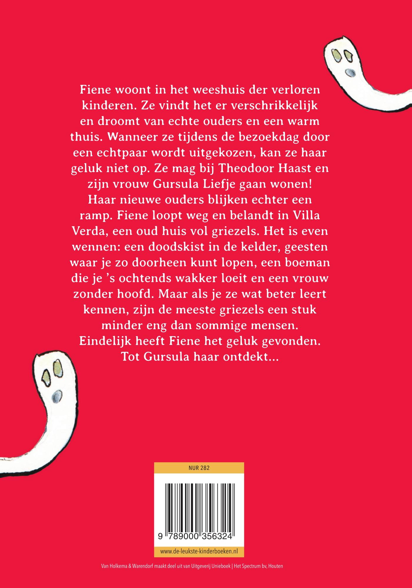 Achterkant van Een spook(t)huis voor Fiene