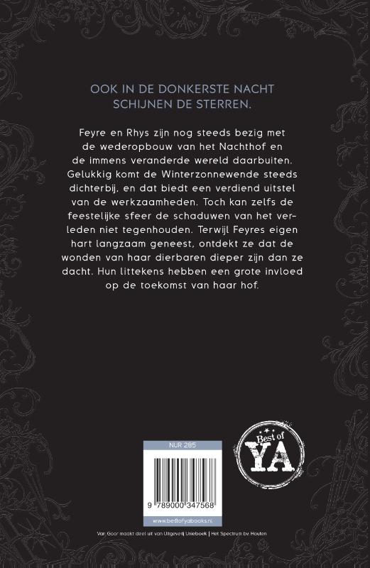 Achterkant van Hof van ijs en sterren