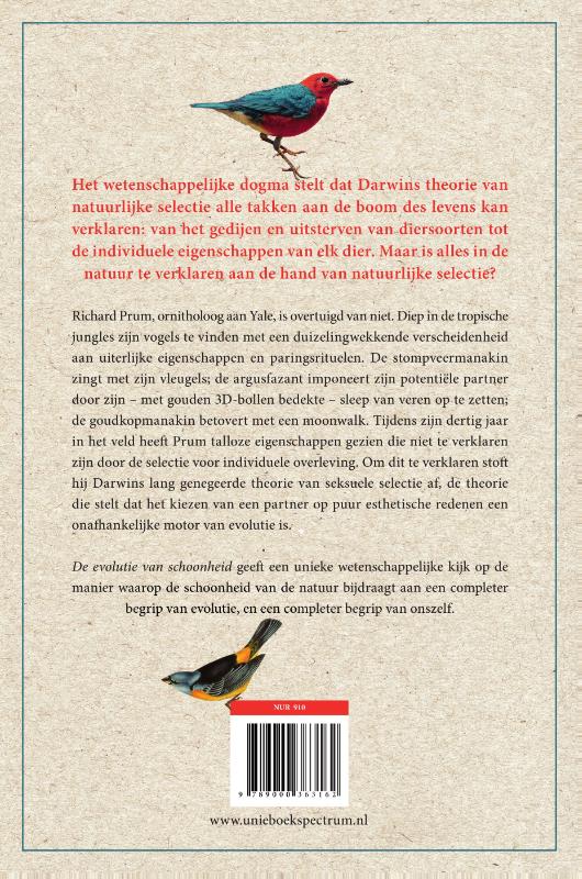 Achterkant van De evolutie van schoonheid