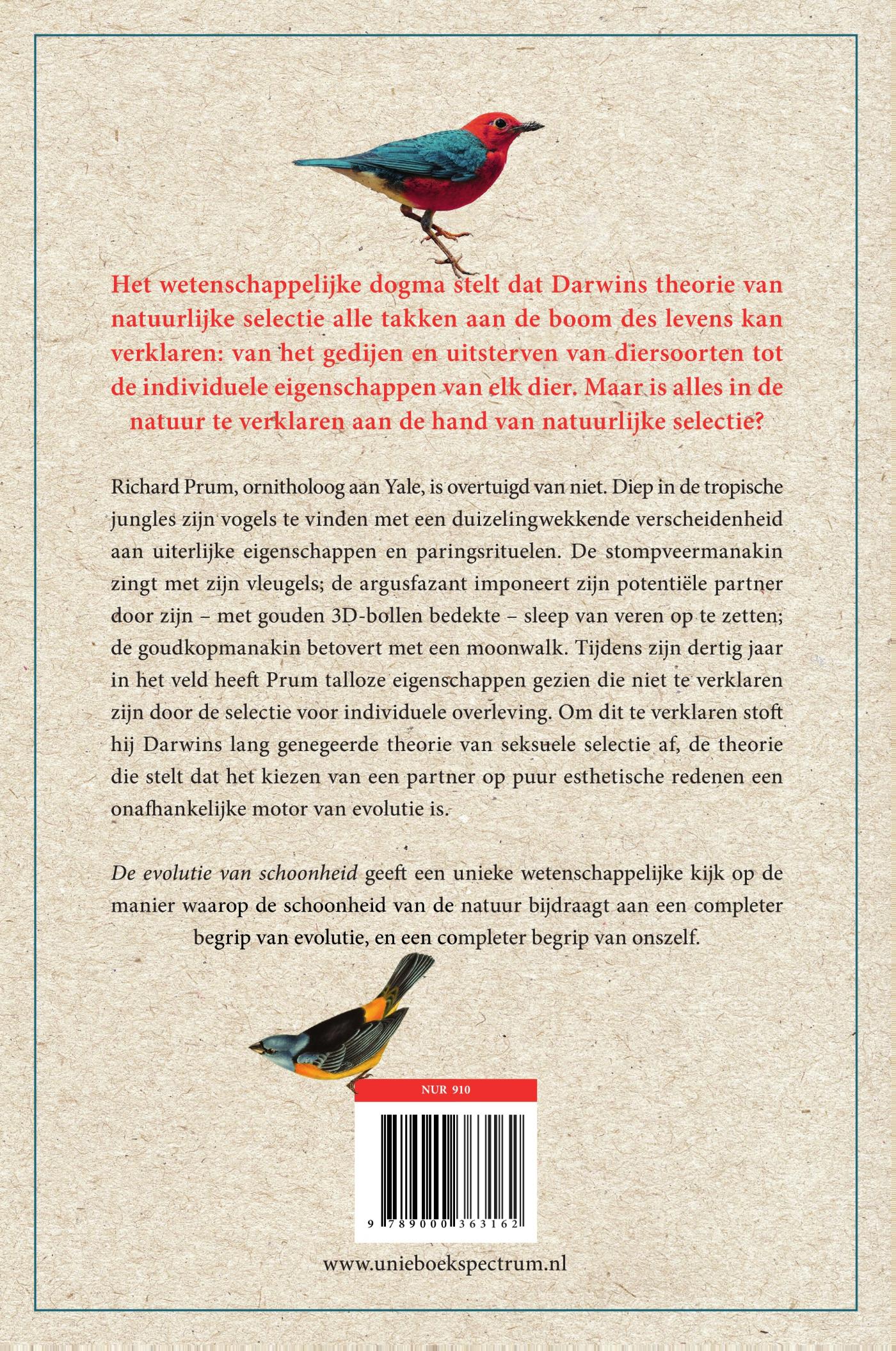 Achterkant van De evolutie van schoonheid