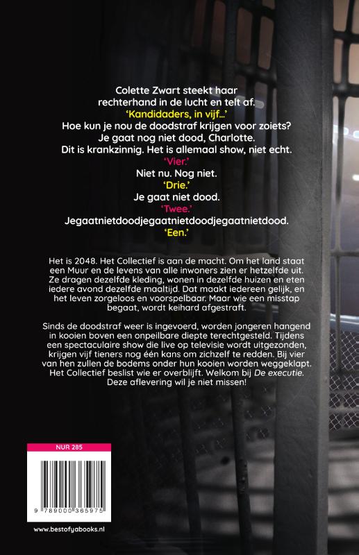 Achterkant van De executie