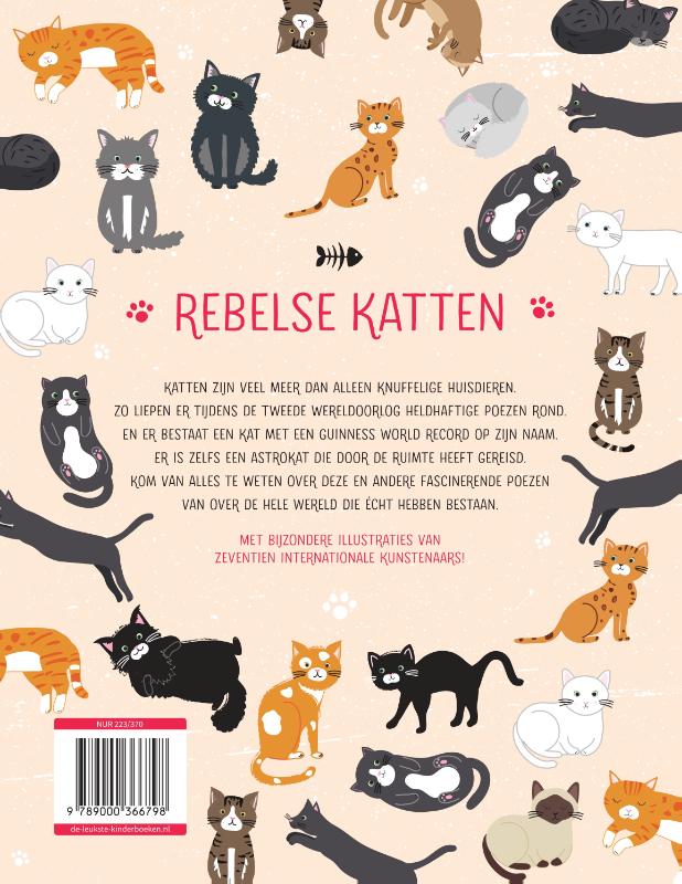 Achterkant van Rebelse katten
