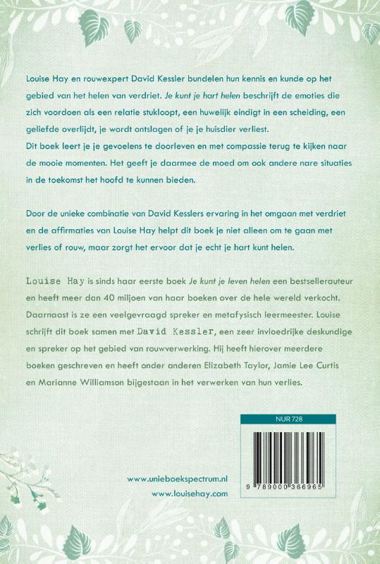 Achterkant van Je kunt je hart helen