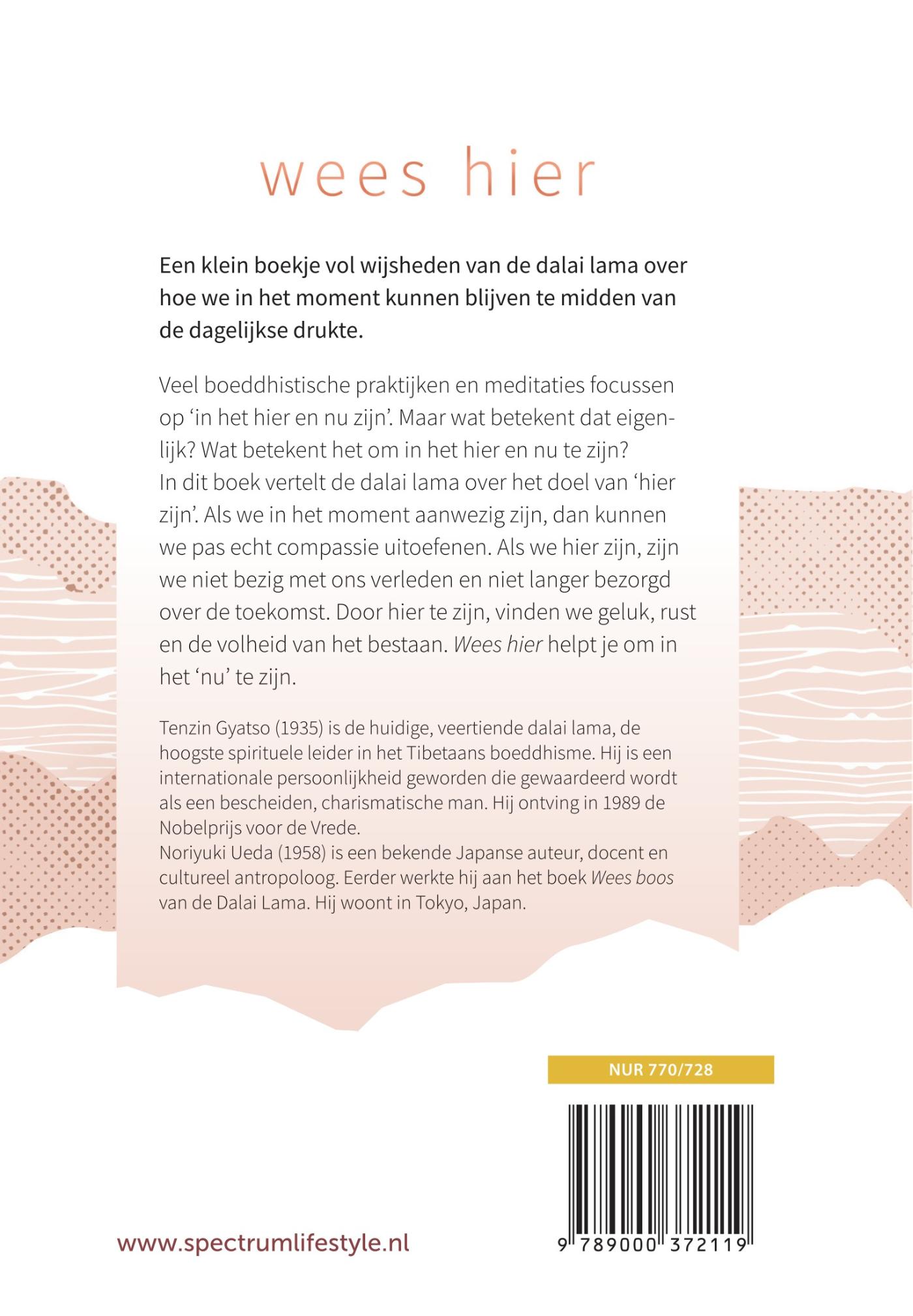 Achterkant van Wees hier