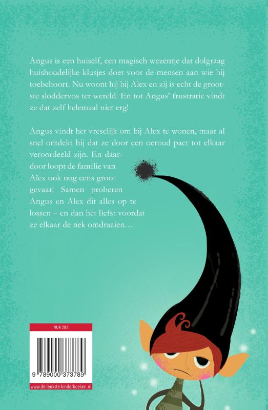 Achterkant van De huiself