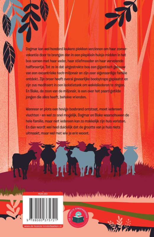 Achterkant van Het vuurhuisje
