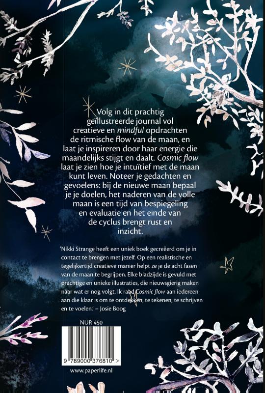 Achterkant van Cosmic flow