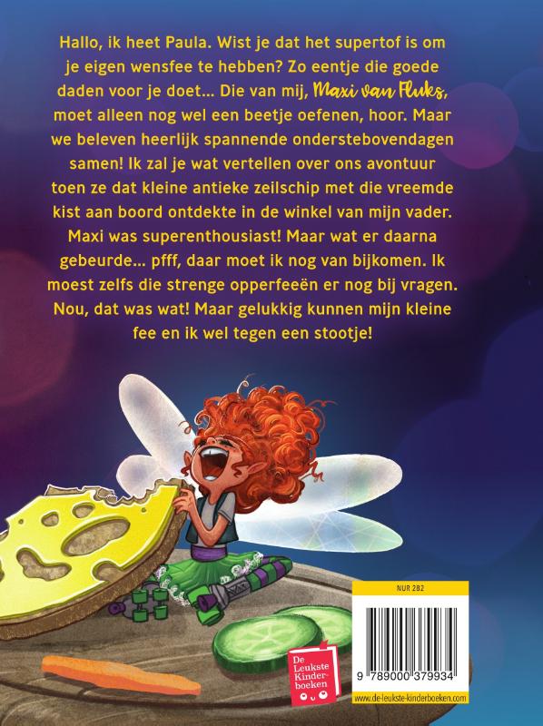Achterkant van De vermiste fee
