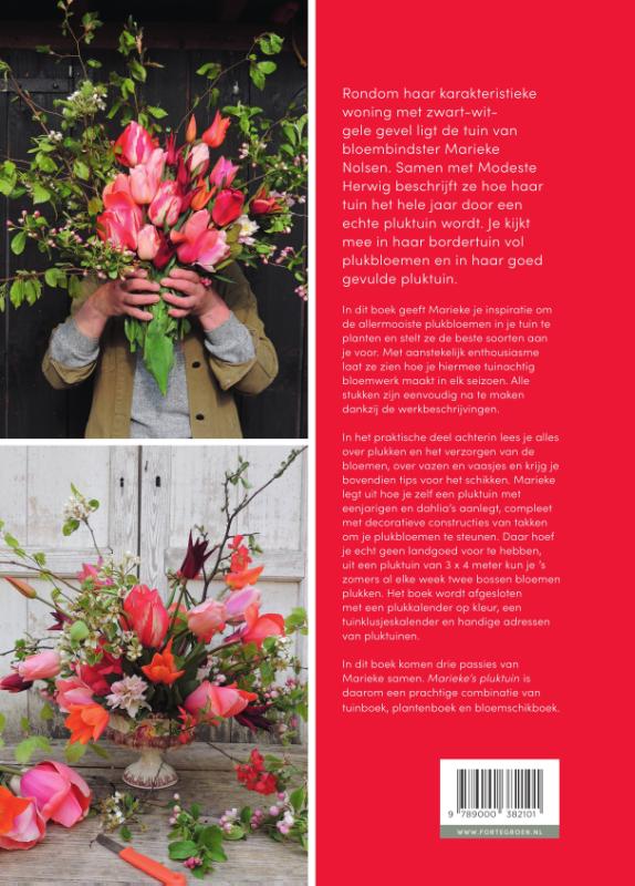 Achterkant van Marieke's pluktuin