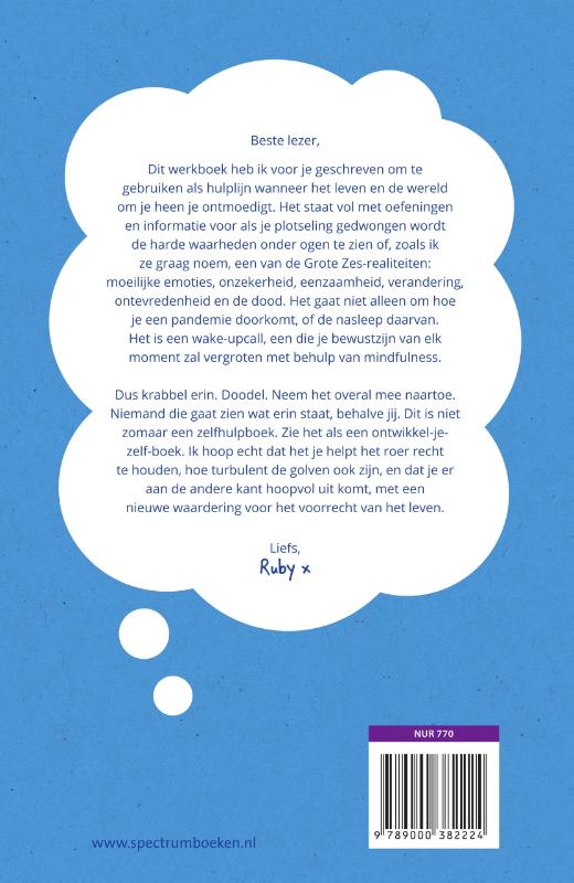 Achterkant van De mindfulnessgids om niet gek te worden