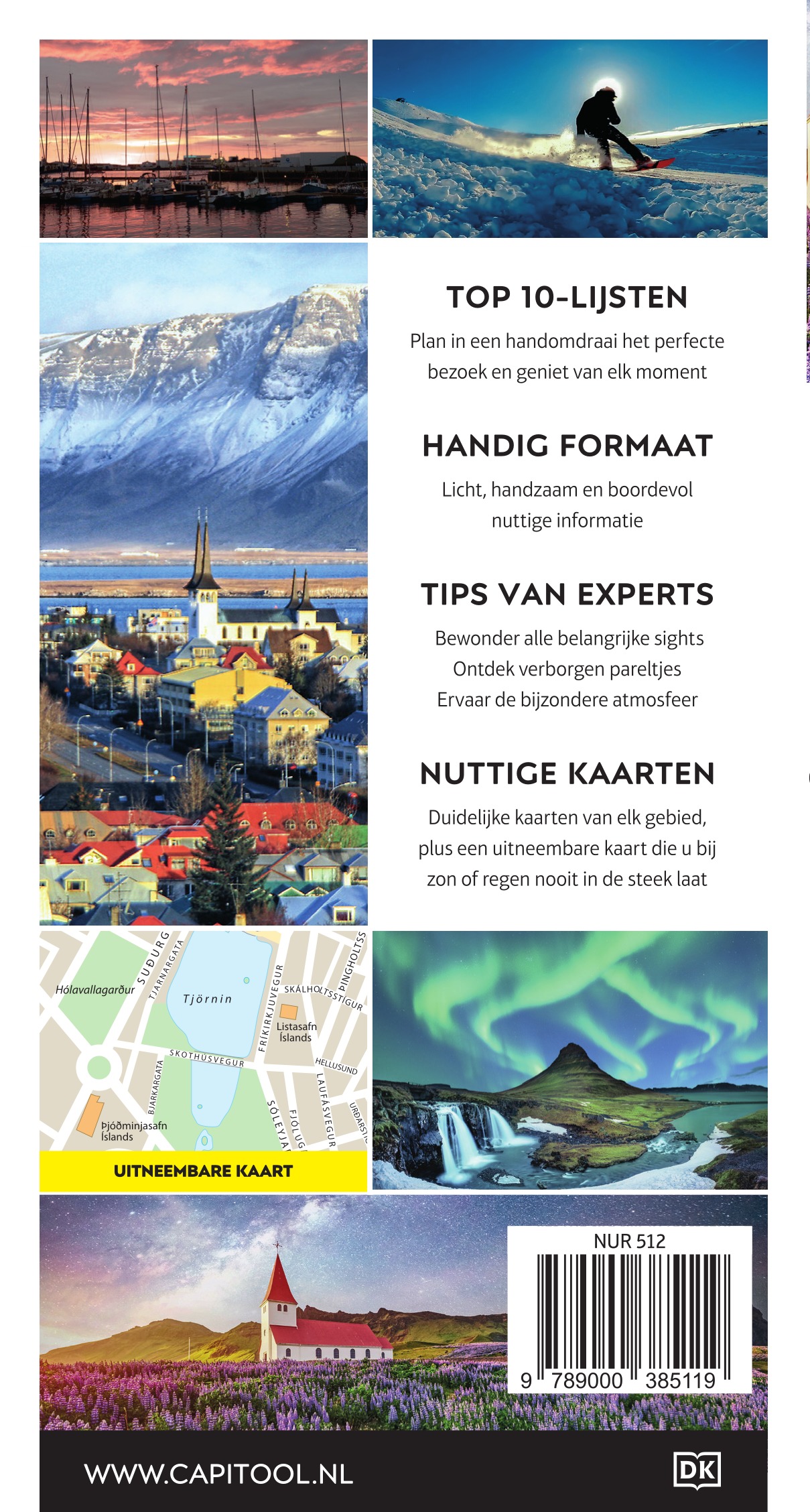 Achterkant van IJsland