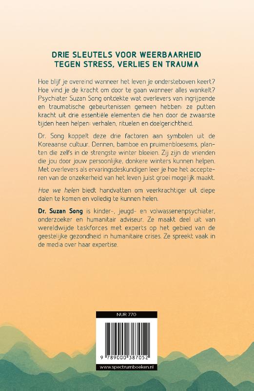 Achterkant van Hoe we helen